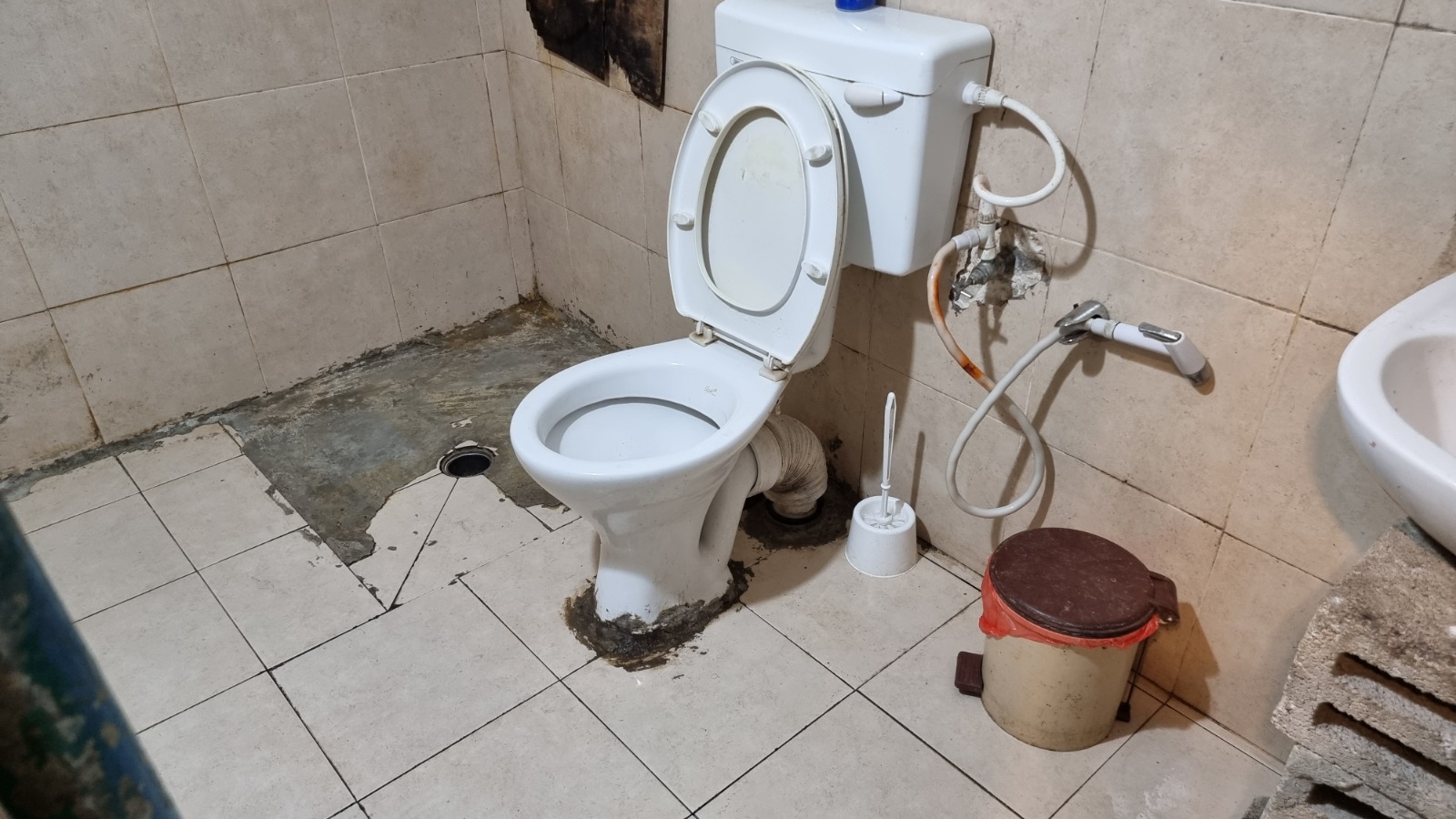 WhatsApp Image 2021-08-13 at 9.56.17 PM (1).jpeg